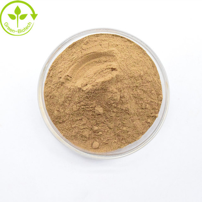 Dendrobium Candidum Powder Bulk Чистый натуральный Dendrobium Officinale экстракт в порошке