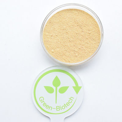 HPLC 90% Cyanotis Arachnoidea экстракт бета-экдистерон порошок гидроксиэкдизон