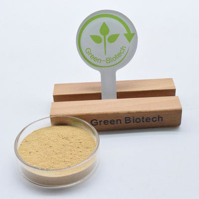 Чистый экстракт корня арахноиды цианоты экдистерон 98% бета-экдистерон в порошке