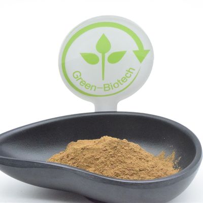 Потеря Turkestanica 2% Turkesterone Ajuga порошка выдержки завода HACCP жирная