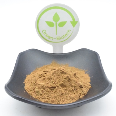 Функциональный Ajuga Turkestanica пудрит порошок выдержки завода 750mg 1000mg
