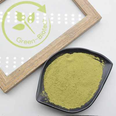 Superfine завод Matcha естественный извлекает уменьшение кровяного давления HACCP USDA AA